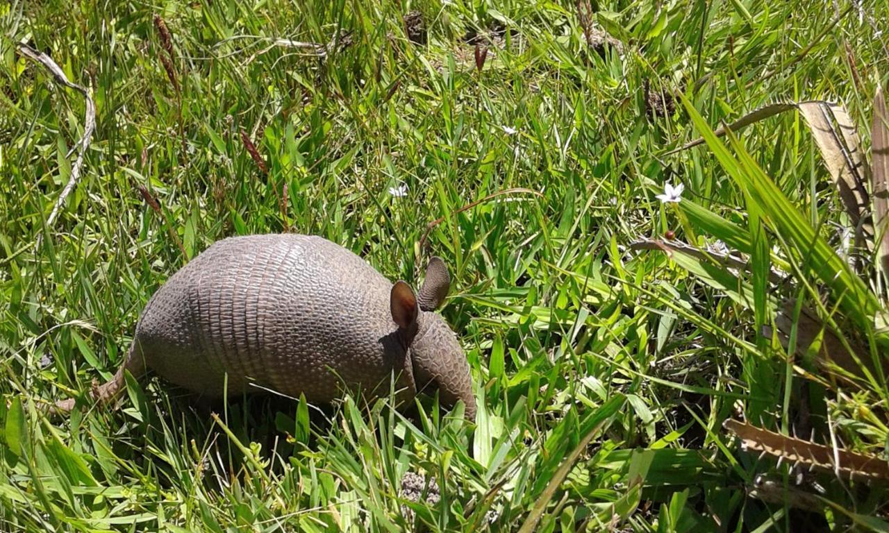 Los Chaja Ecolodge バラ・デ・バリサス エクステリア 写真