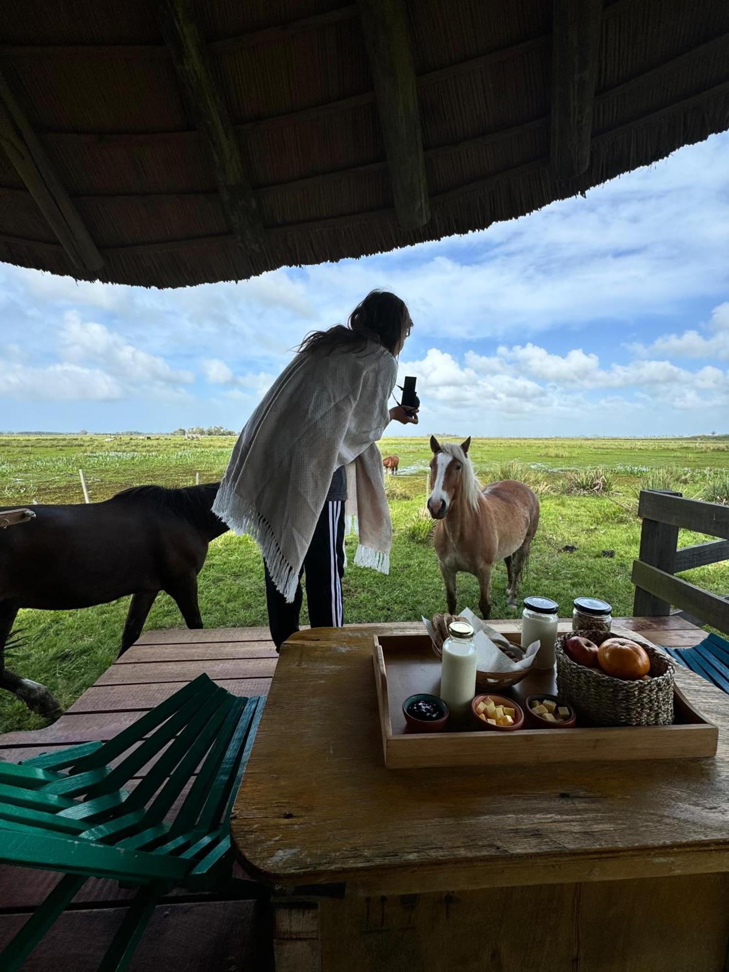 Los Chaja Ecolodge バラ・デ・バリサス エクステリア 写真
